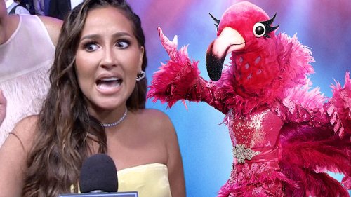 Adrienne Bailon Denies She's the Flamingo on The Masked Singer (Exclusive)