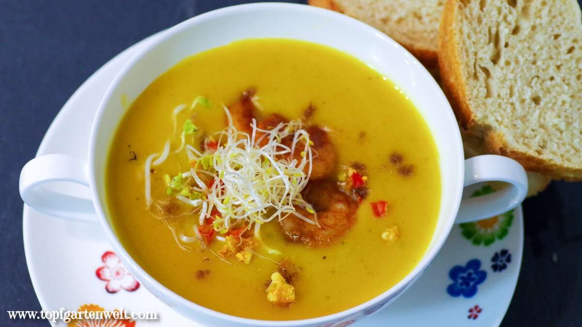 Kürbissuppe mit Ingwer, Kokosmilch und Garnelen, pikant und exotisch
