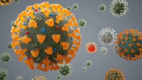 Delta Plus variant may defeat vaccines, antibodies and infection immunity, warns Prof Jameel