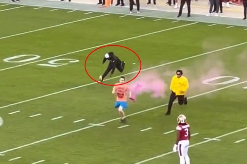 49ers Staffer Appeared To Blow Out His ACL Trying To Tackle Protester On Field (VIDEO)