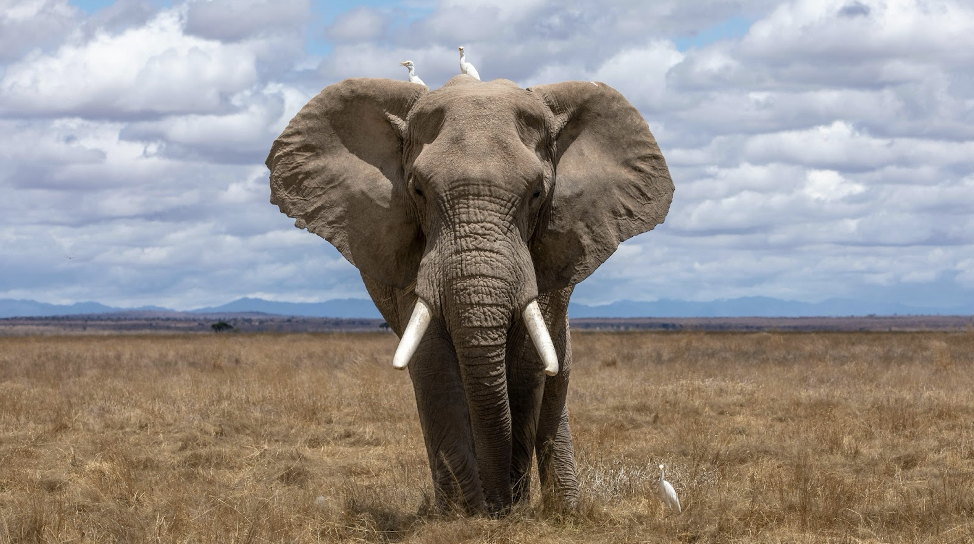 HADOOP NUGGETS - cover