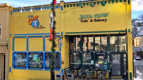 Local Business Spotlight: Java Cow