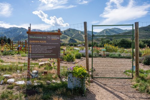 Summit County Gardens to host fall cleanup with GoBiochar