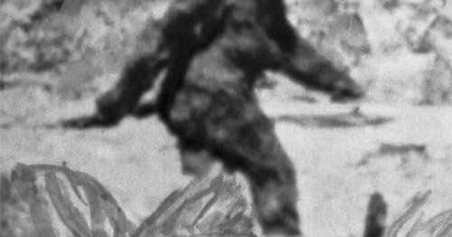 'It's the most brilliant account of Sasquatch I've ever heard... he told the Queen the whole story and she believed him implicitly.' You'll NEVER believe the stars who believe in cryptids and the paranormal...