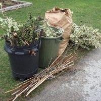 Yakima yard waste collection extended until December 12