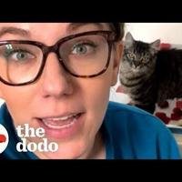 Cat Loves Jumping In And Stealing His Mom’s Baths | The Dodo Cat Crazy