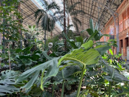 Madrid Atocha: Der tropische Bahnhof mit Palmengarten