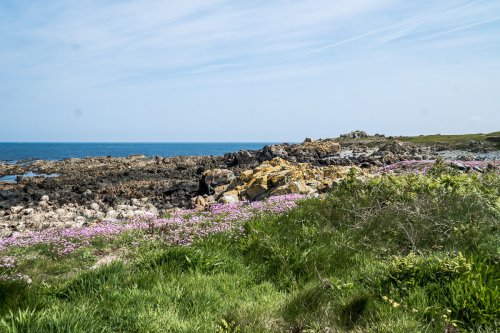 Kanalinsel Lihou: Zu Fuß von Guernsey auf die Gezeiteninsel