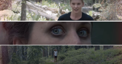 WATCH: The Women of Adidas Take On Western States