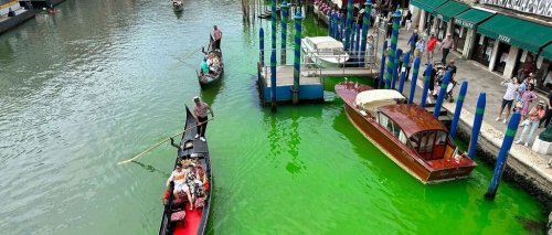 Grüner Canal Grande in Venedig: Grund wohl klar