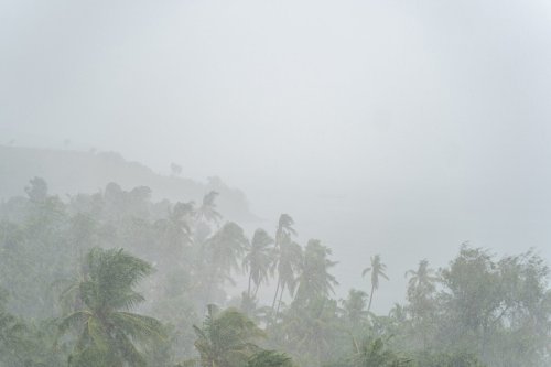 Regenzeit in Sri Lanka – Tipps für deine Reiseplanung
