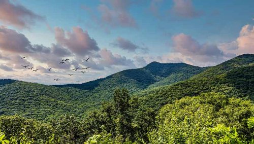 Virginia Glamping Spots That Feel Like Luxury Hotels In The Woods