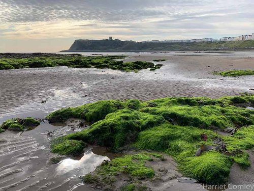 20 Things To Do In Scarborough (England)