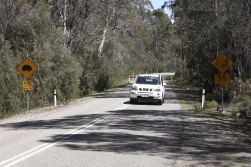 Hobart to Launceston | self-drive Tasmania - Travel2Next