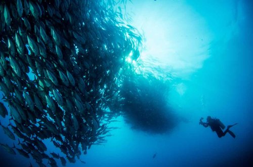 20 Things To Do In Baja California Sur Flipboard