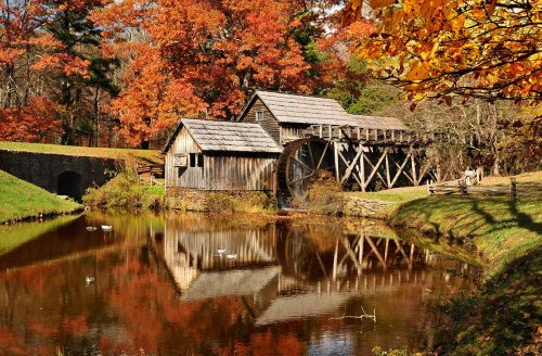 Why Virginia Is More Than Just History – #2 Will Blow Your Mind!