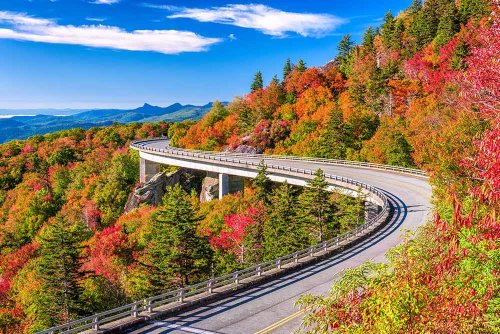 What Makes North Carolina So Famous? #2 Might Shock You!