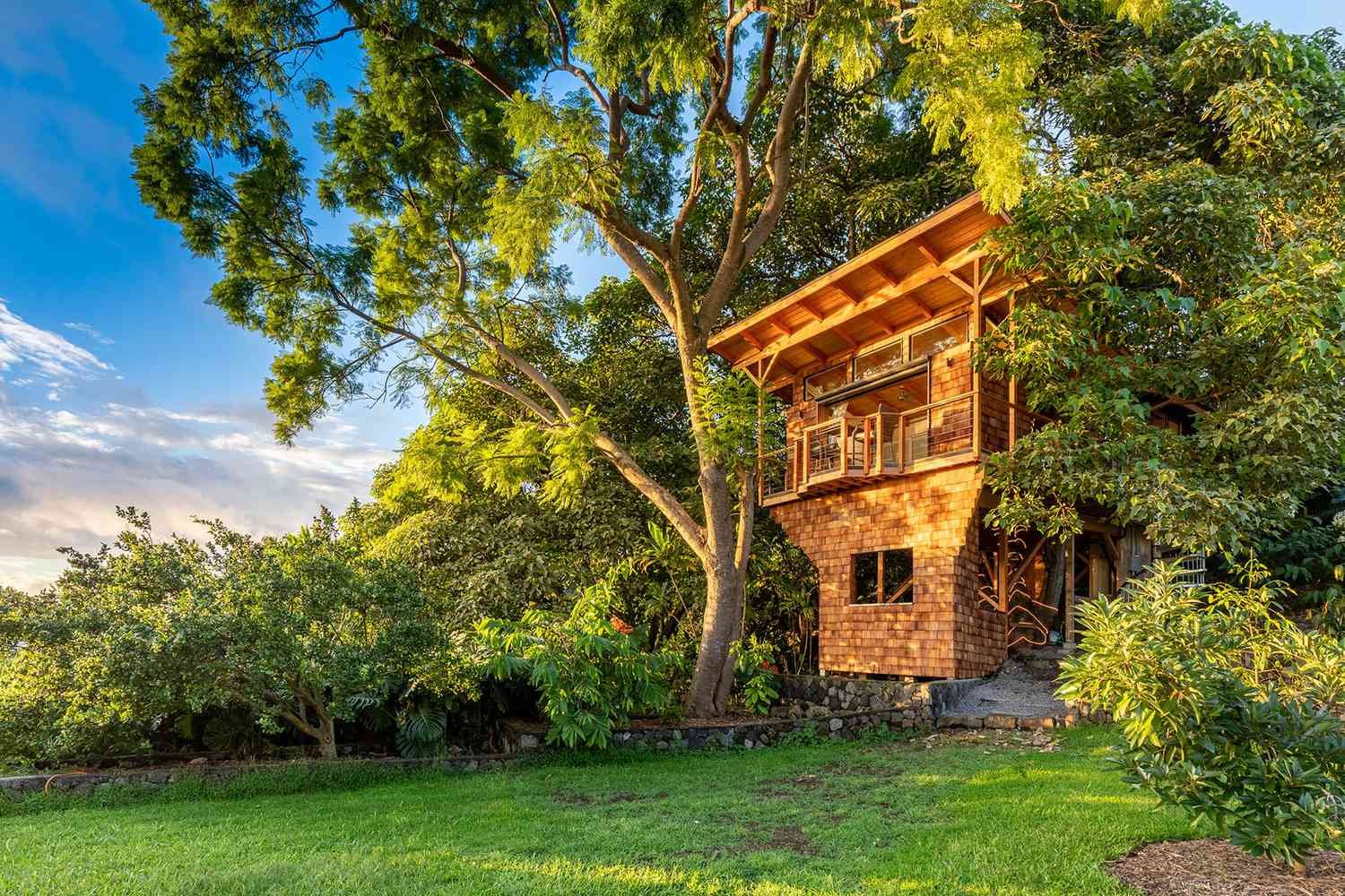 24 Magical Tree House Airbnbs You Can Stay in Around the World