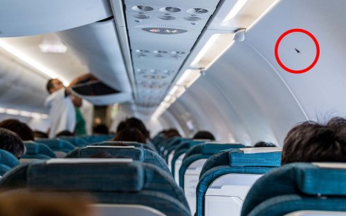 The Secret Behind Those Little Triangle Stickers in Your Airplane Cabin