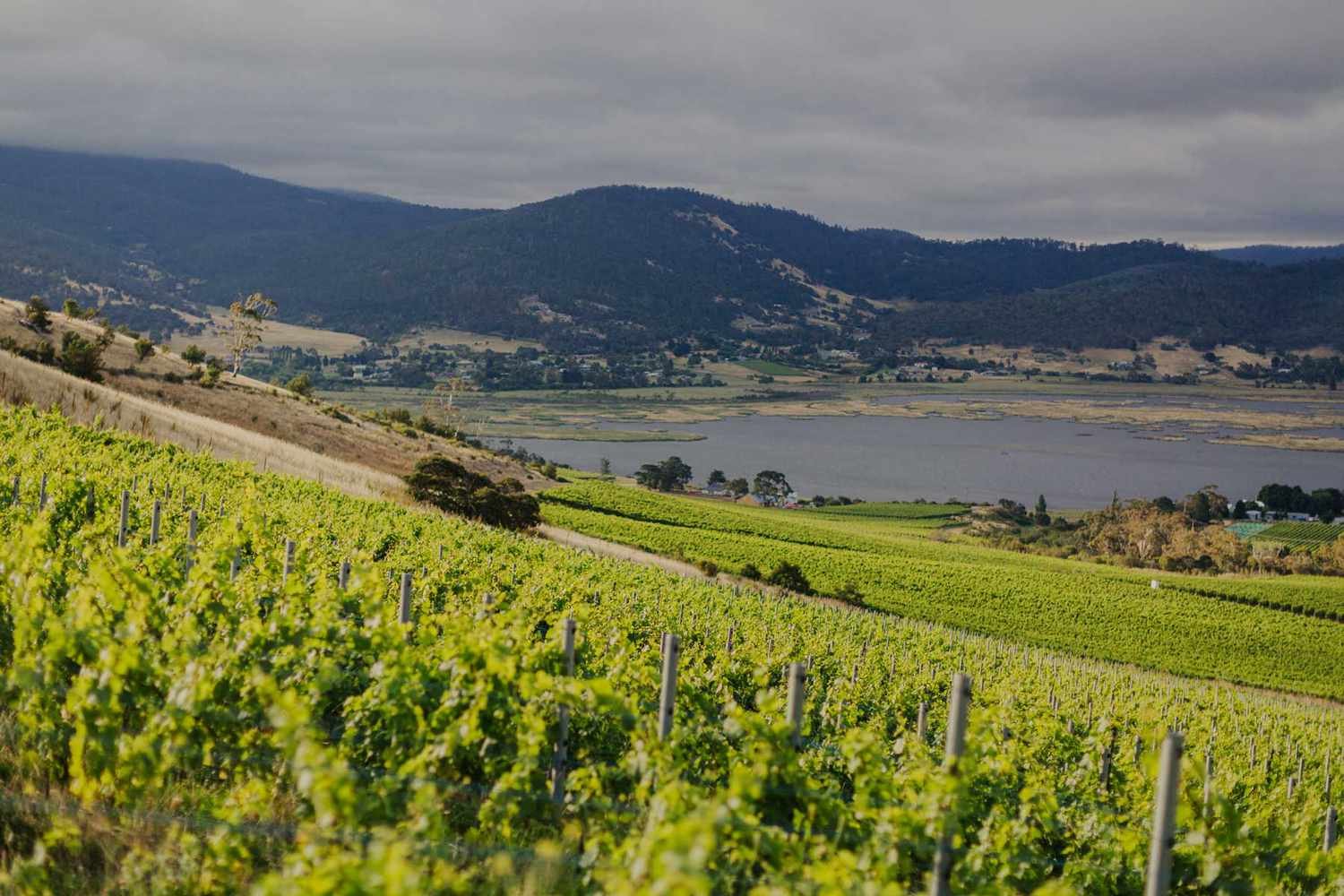 This Island Off the Coast of Australia Is a Hidden Paradise for Sparkling Wine Lovers