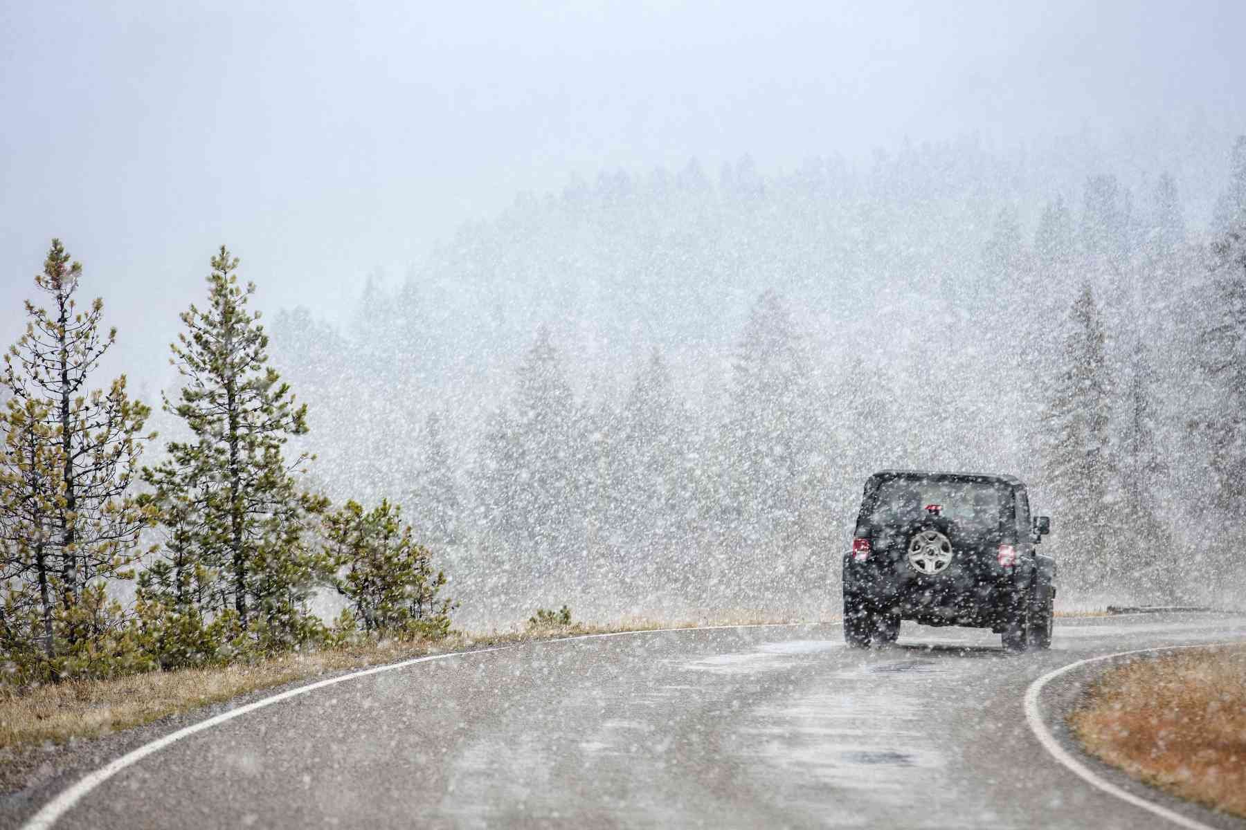 Winter Travel cover image