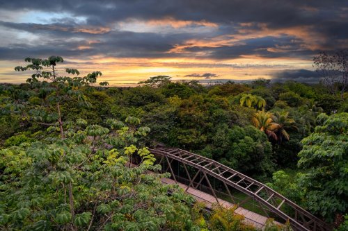 This New Costa Rica Resort Is a Nature Lover's Dream — With Rain Forest Hikes, Ocean Safaris, and a Zip Line