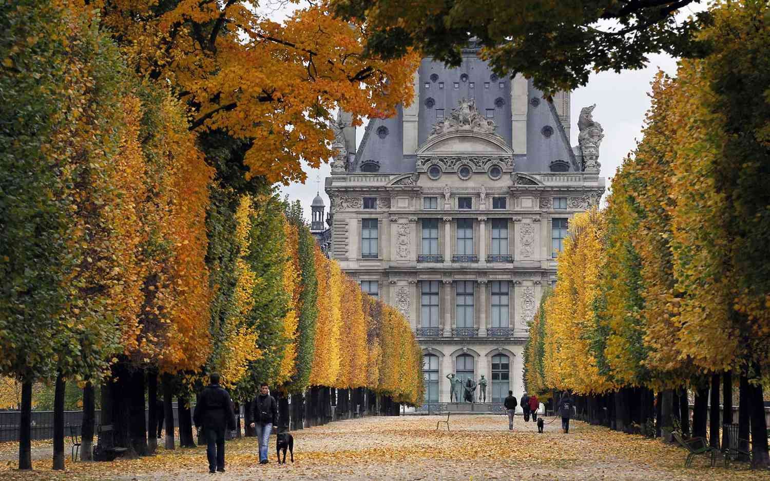 November Is the Best Time to Travel to Paris. Here's Why.