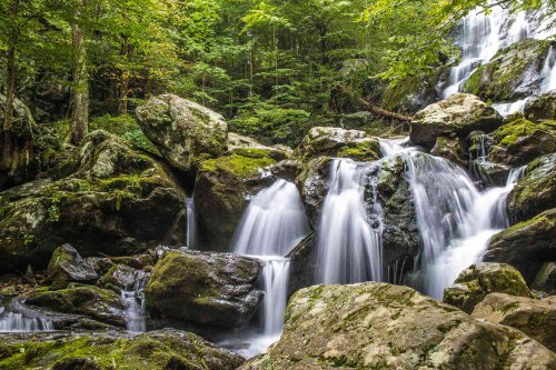 15 Best Places to Visit in Virginia, According to Locals