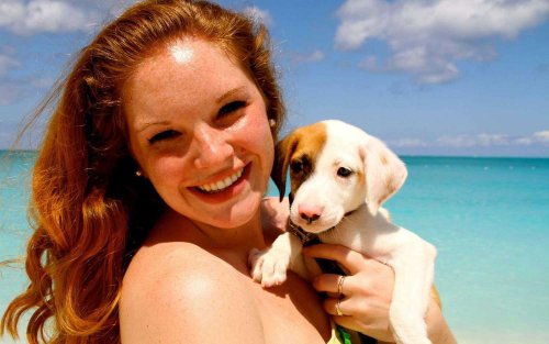 This Tropical Island Is Filled With Puppies You Can Adopt (Video)