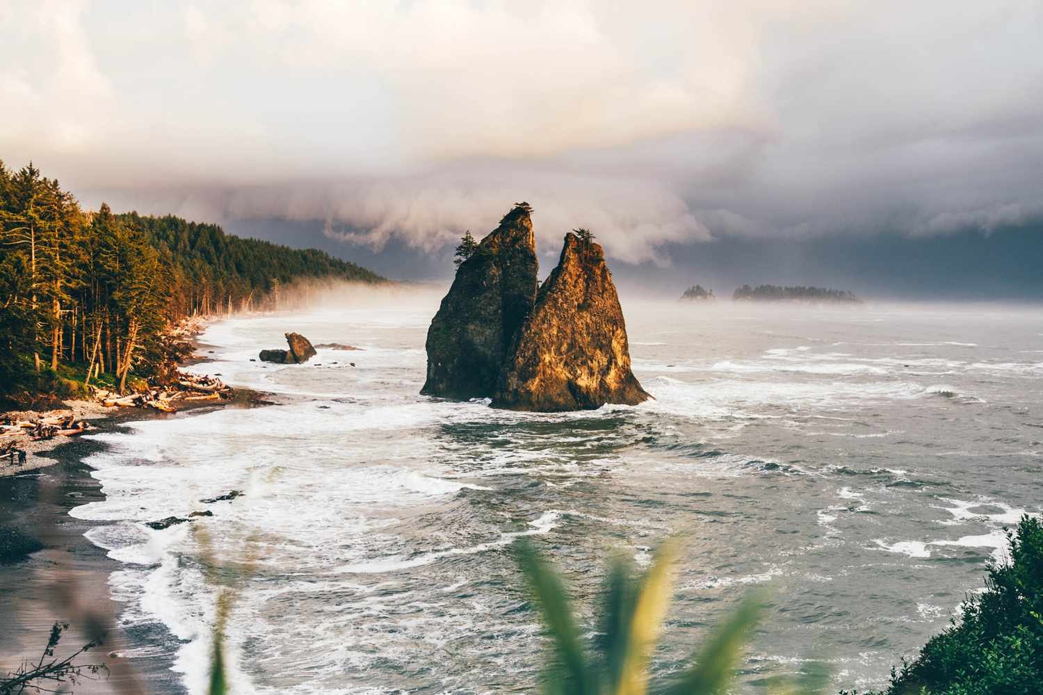 This National Park Is Home to the Quietest Place in the Continental U.S.—Deep in a Rain Forest 3 Hours From Seattle