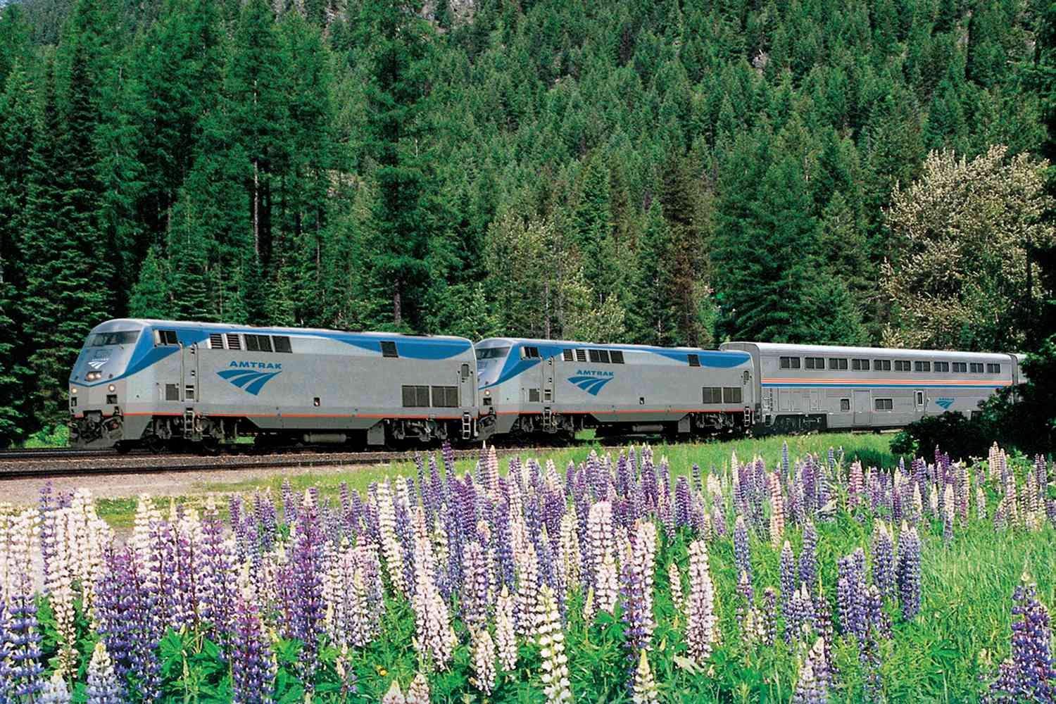 These 4 Train Rides Will Take You to Some of the Best Wildflower Blooms in the U.S.