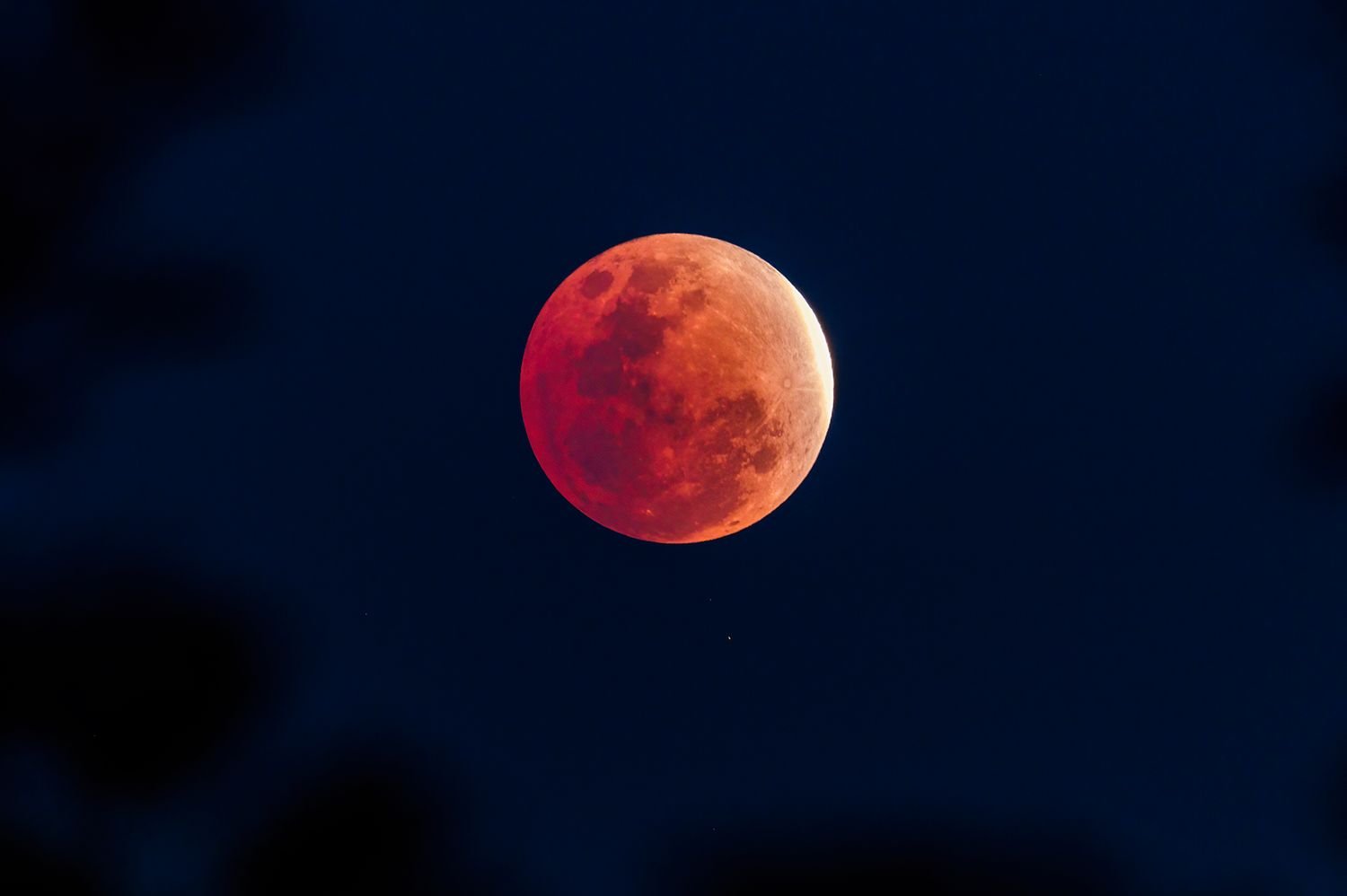 A Near-total Lunar Eclipse Will Turn the Moon Red This Month—and It’s the Last Chance to See One for Over 2 Years