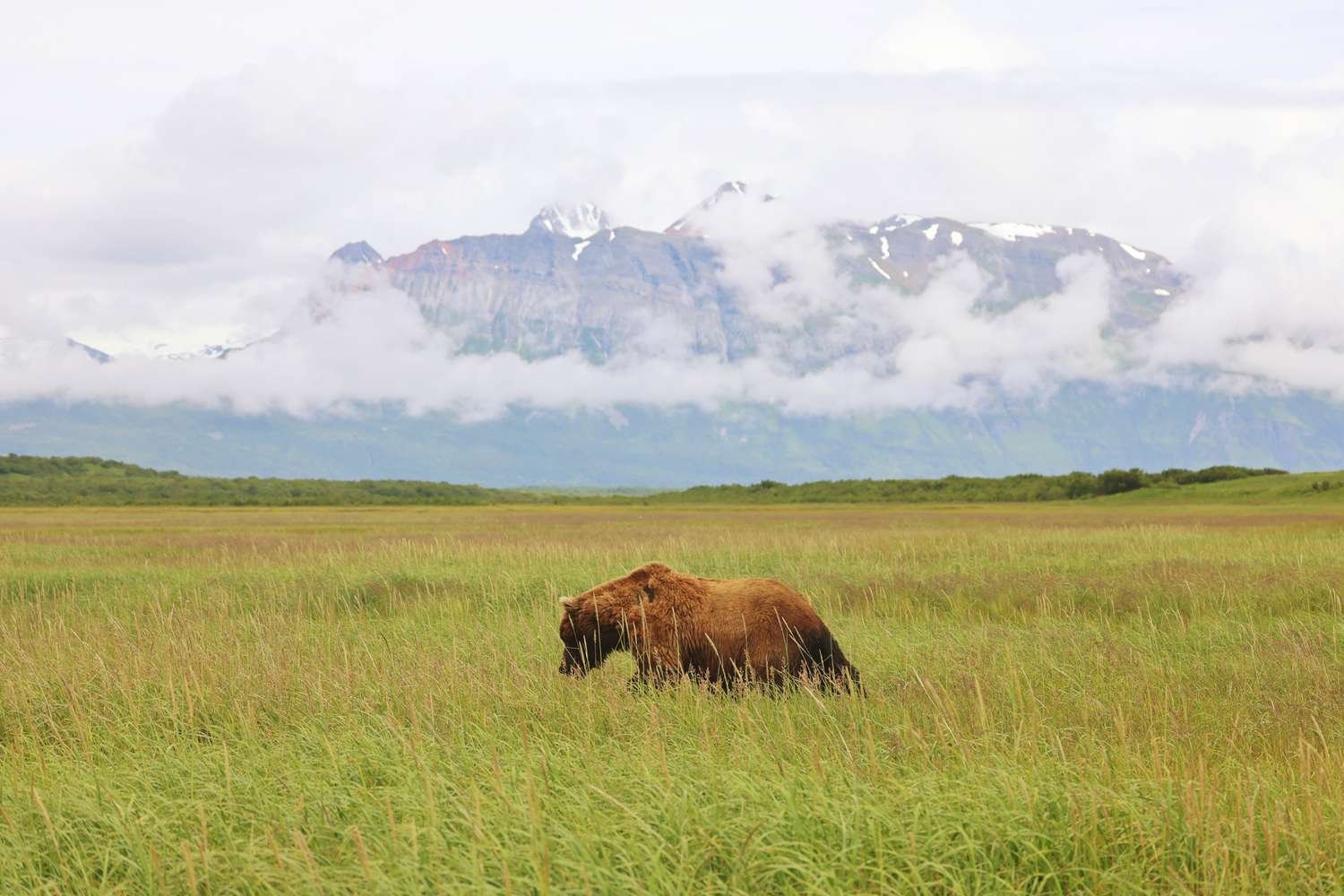 I’ve Traveled Alaska for 10 Years and This Is My Favorite Town—With Wild Rivers, Brown Bears, and National Park Access