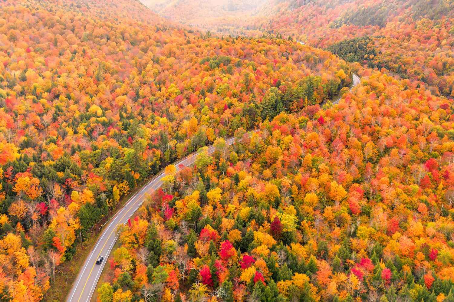 The 2026 Fall Foliage Forecast Is Here—and These U.S. States Are Expected to Have the Most Vibrant Colors