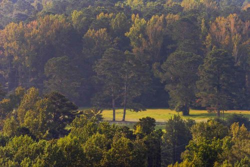 This Small Georgia Town Is Less Than 3 Square Miles But It s Home To 
