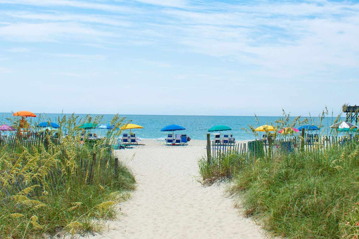 Revealed: The 2 Most Popular Southeastern U.S. Cities for Relocation—Affordable Living, Perfect Weather & Breathtaking Beaches