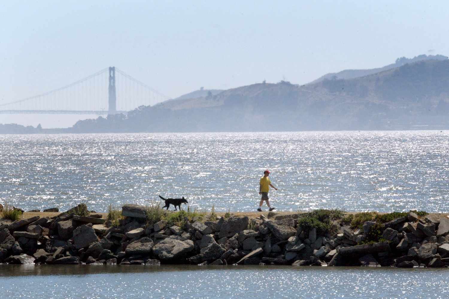 I Lived in California for 30+ Years and This Is the Bay Area’s Most Charming City—and No, It’s Not Berkeley