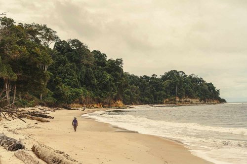 This Off-the-radar Country Is a Must-visit Safari Destination—How to Plan a Trip