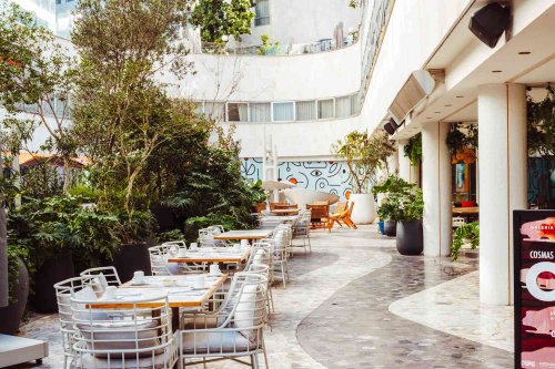 This Mexico City Hotel Is in a Trendy, Walkable Neighborhood—With a Heated Rooftop Pool and a Dog-friendly Beer Garden