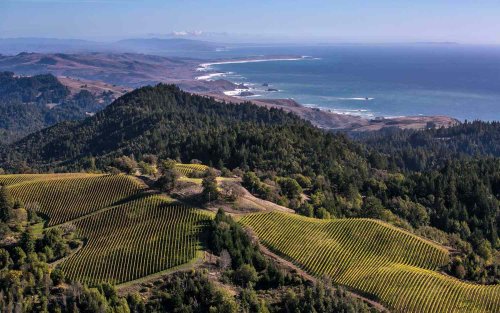 15 Beautiful Sonoma Wineries to Visit Right Now
