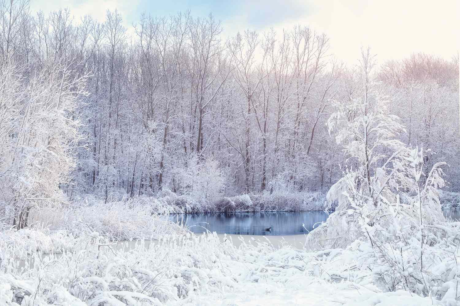 A Snowy, Cold Winter Is Coming to Much of the U.S.—and These Ski Destinations Could Get the Best Snow