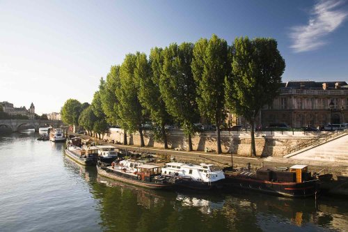 30 Best Things to Do in Paris, According to Locals
