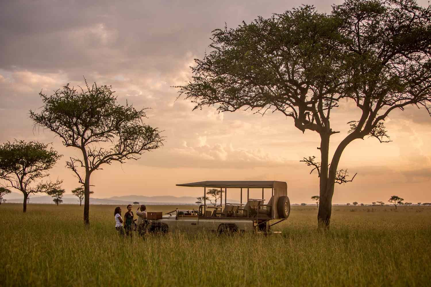 This Wildlife Reserve Is One of the Best Places to Safari—and I Saw Cheetahs, Giraffes, Hippos, and the Rare Eastern Bla