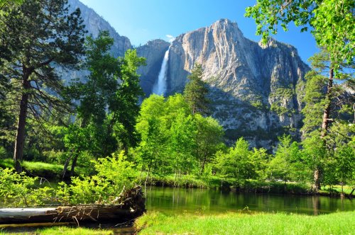 10 Superb Cabin Rentals Near Yosemite National Park