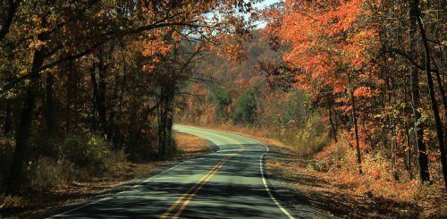 8 Best Spots To View Fall Foliage In Alabama