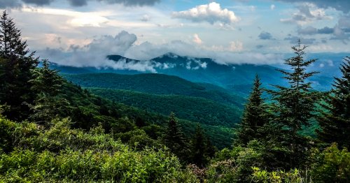 Starting Today, All Visitors To Great Smoky Mountains National Park Will Need This One Thing