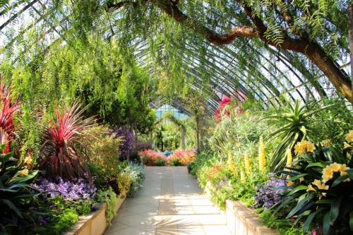 Best Botanical Gardens In The U.S.