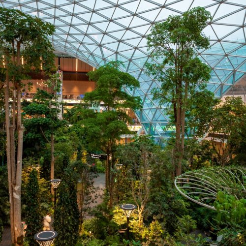 Inside Look at the OTT Features from the World’s Best Airport: Doha Hamad