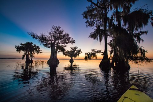 7 Reasons To Explore The Undiscovered In Indian River County Florida 