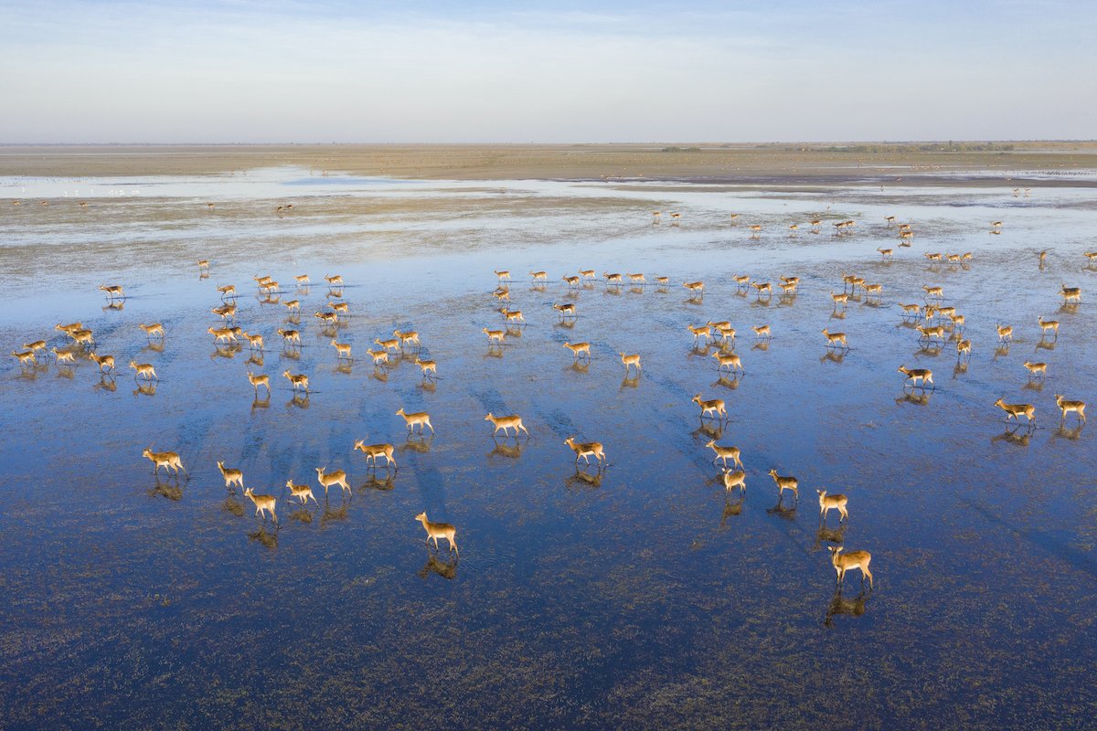 16 Things I Learned On Safari With A Professional Wildlife Photographer